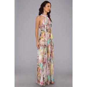 Ted Baker Electric Daydream Maxi Dress Chiffon Rainbow Pleated size 4 Large